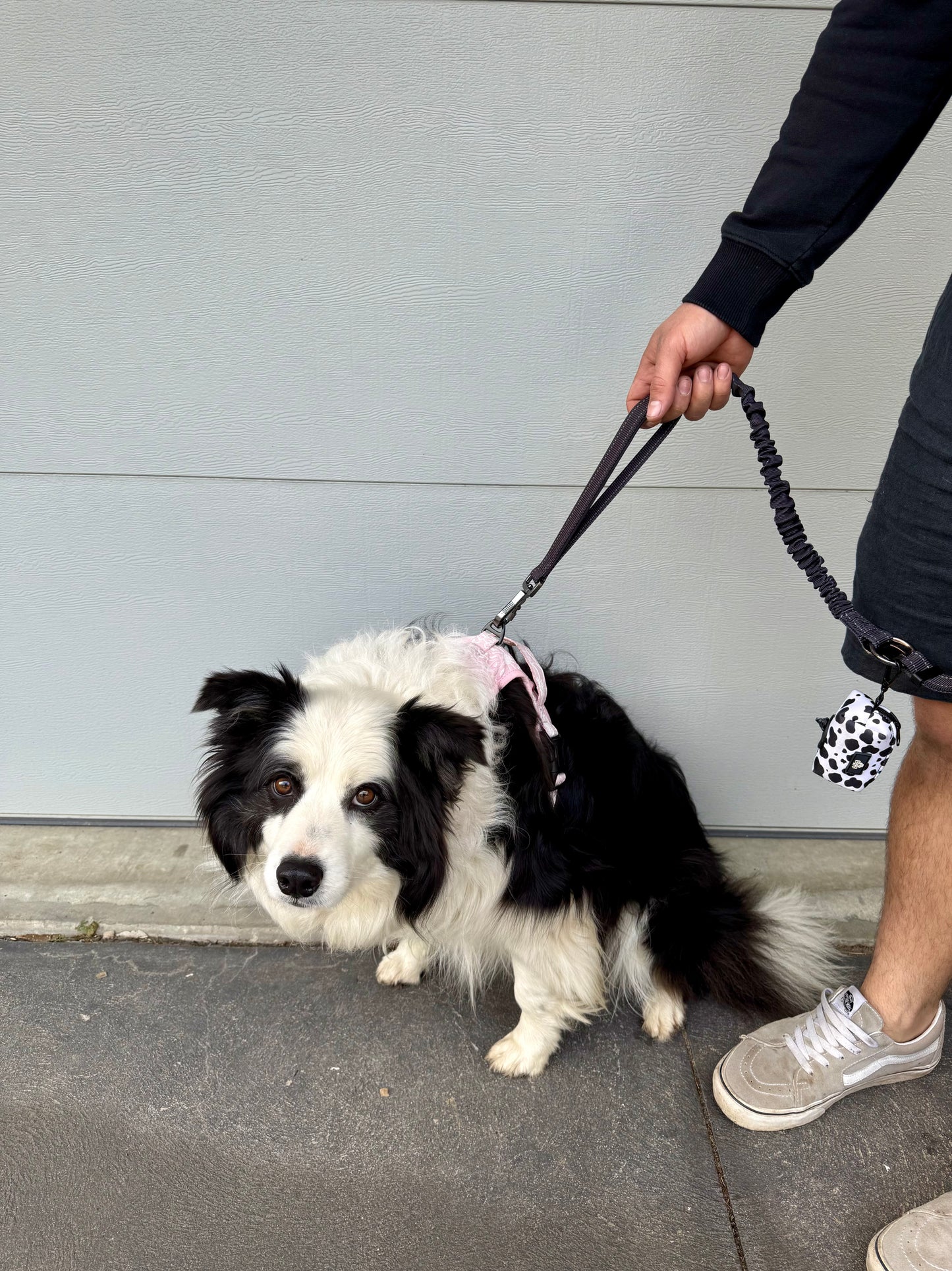 Paw runner lead - Midnight