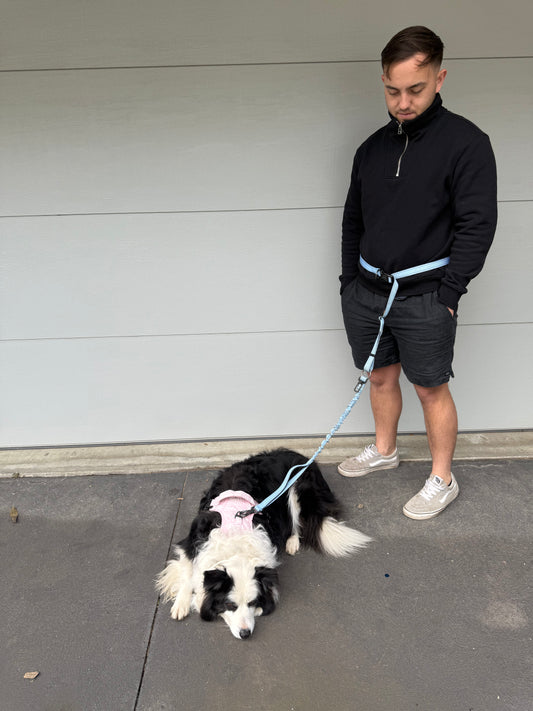 Blue skye pawrunner bundle x2