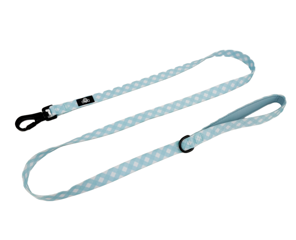 Gingham every day lead