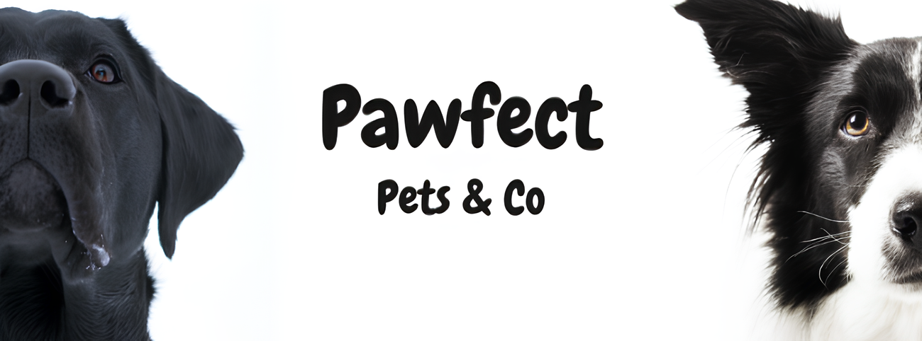 Two dogs, one black and one black and white, with 'Pawfect Pets & Co' text between them.