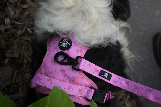 Bow-tiful Pawrunner Harness