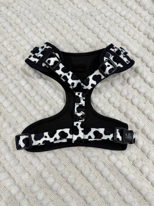 Cow print harness - medium