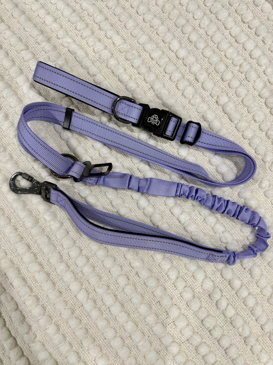 Pawrunner lead - Lavender Haze