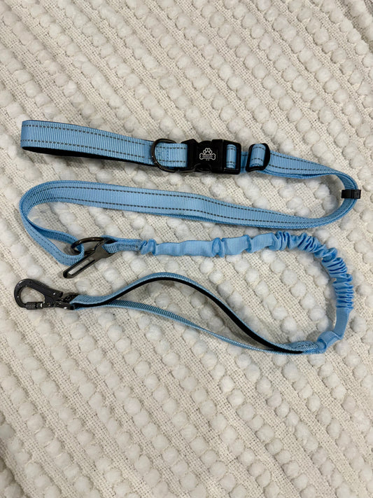 Pawrunner lead - Skye blue