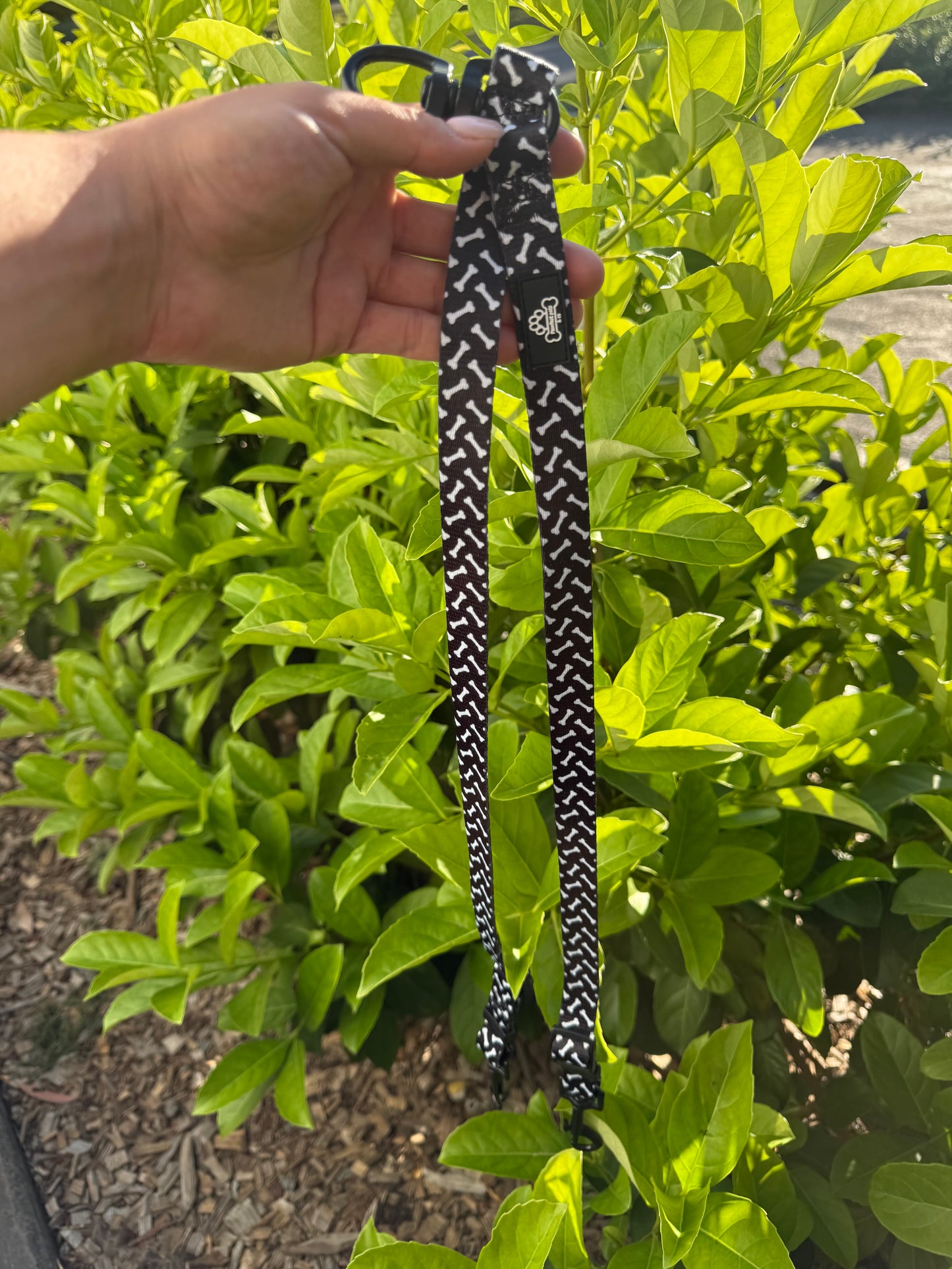 Leash splitter