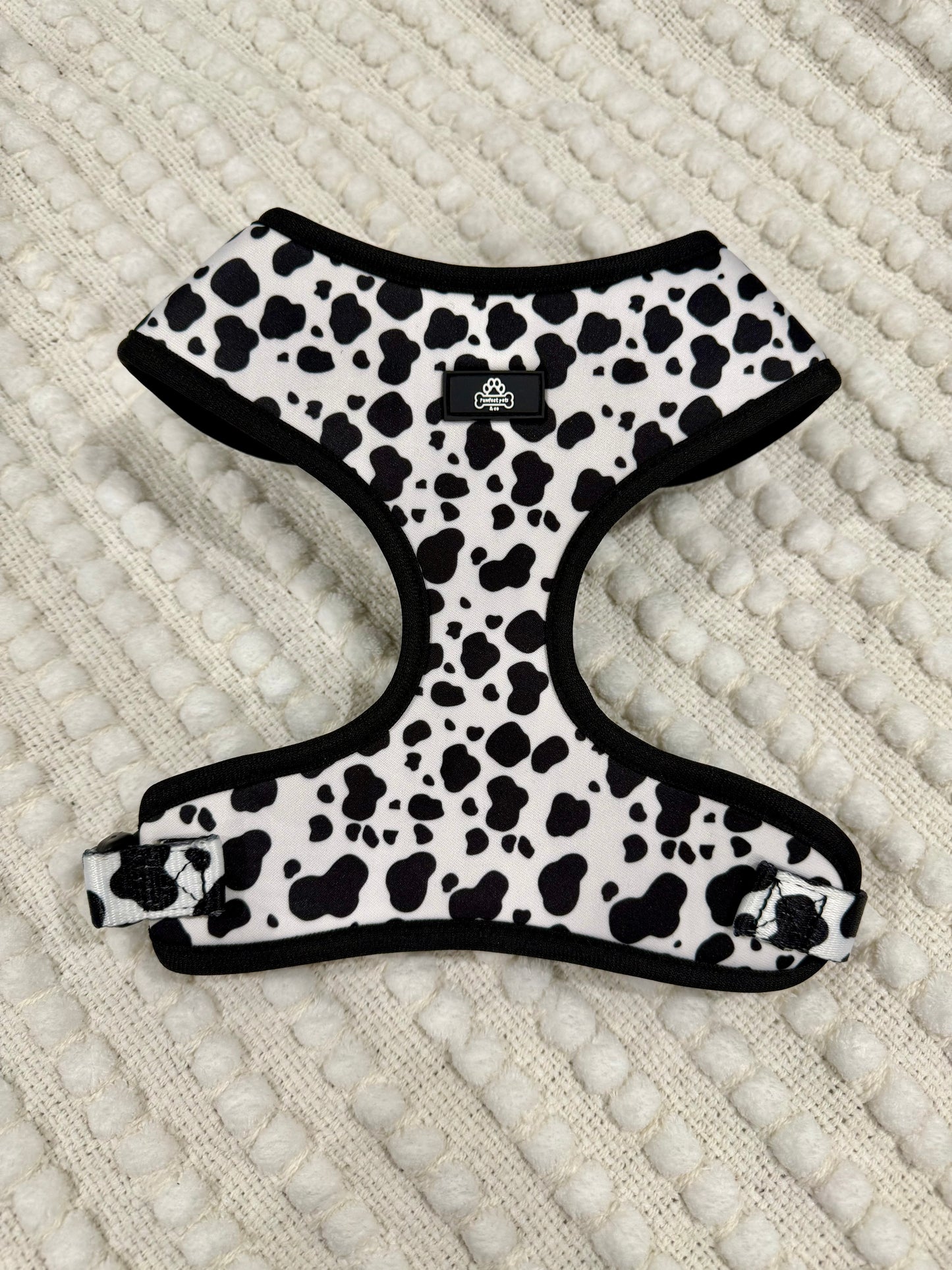 Complete cow print bundle - medium