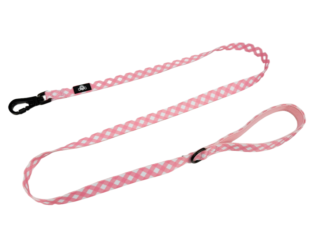 Gingham every day lead