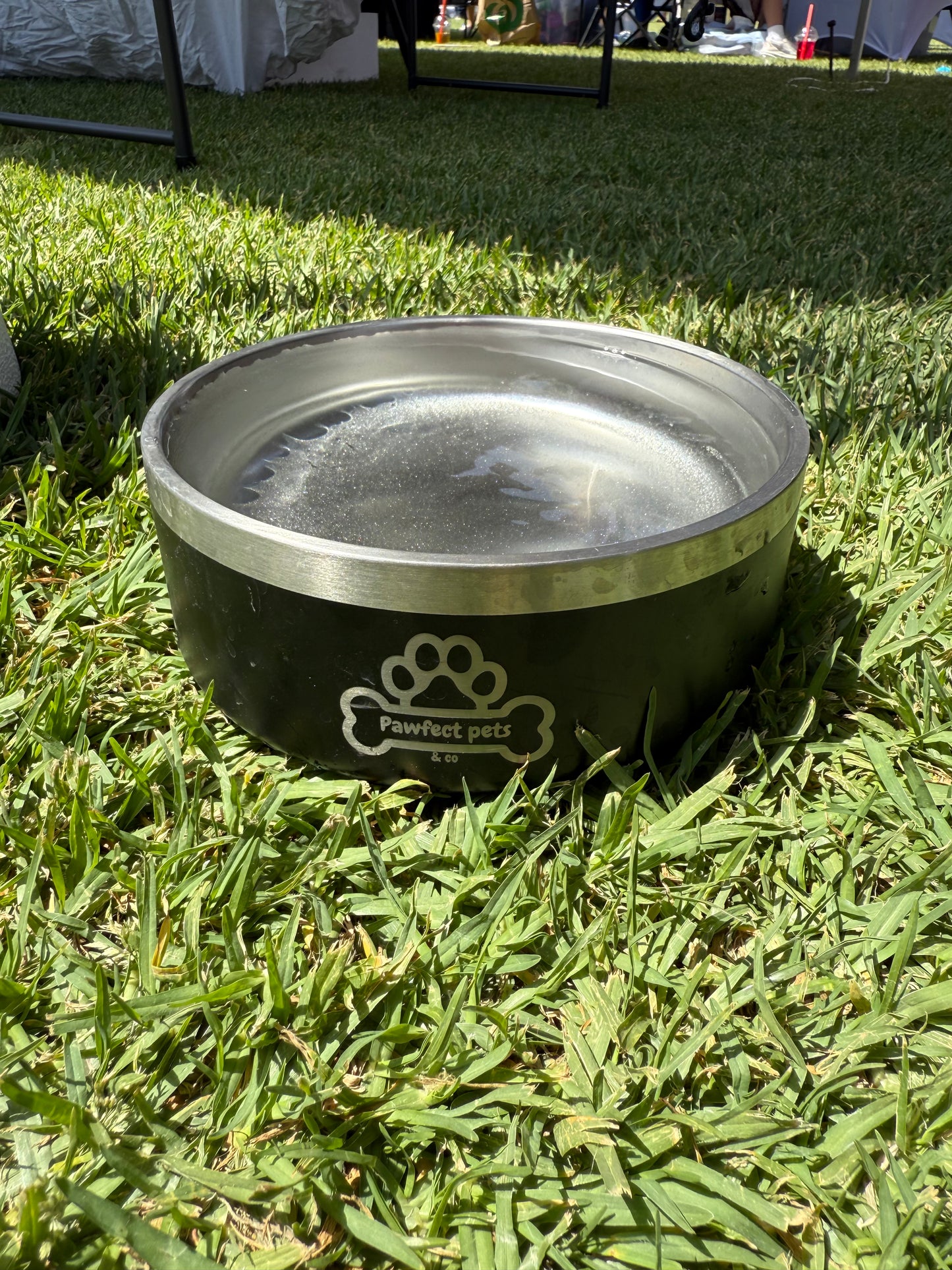 Insulated dog bowl