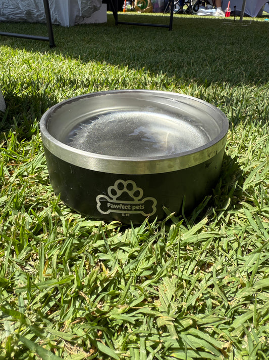 Insulated dog bowl