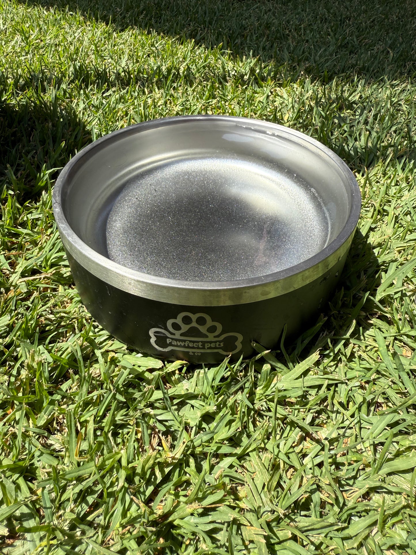 Insulated dog bowl