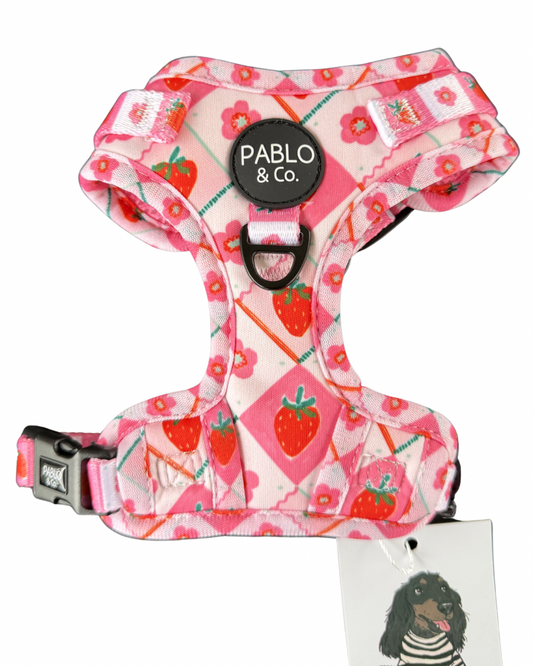 Pablo and co - strawberry patch