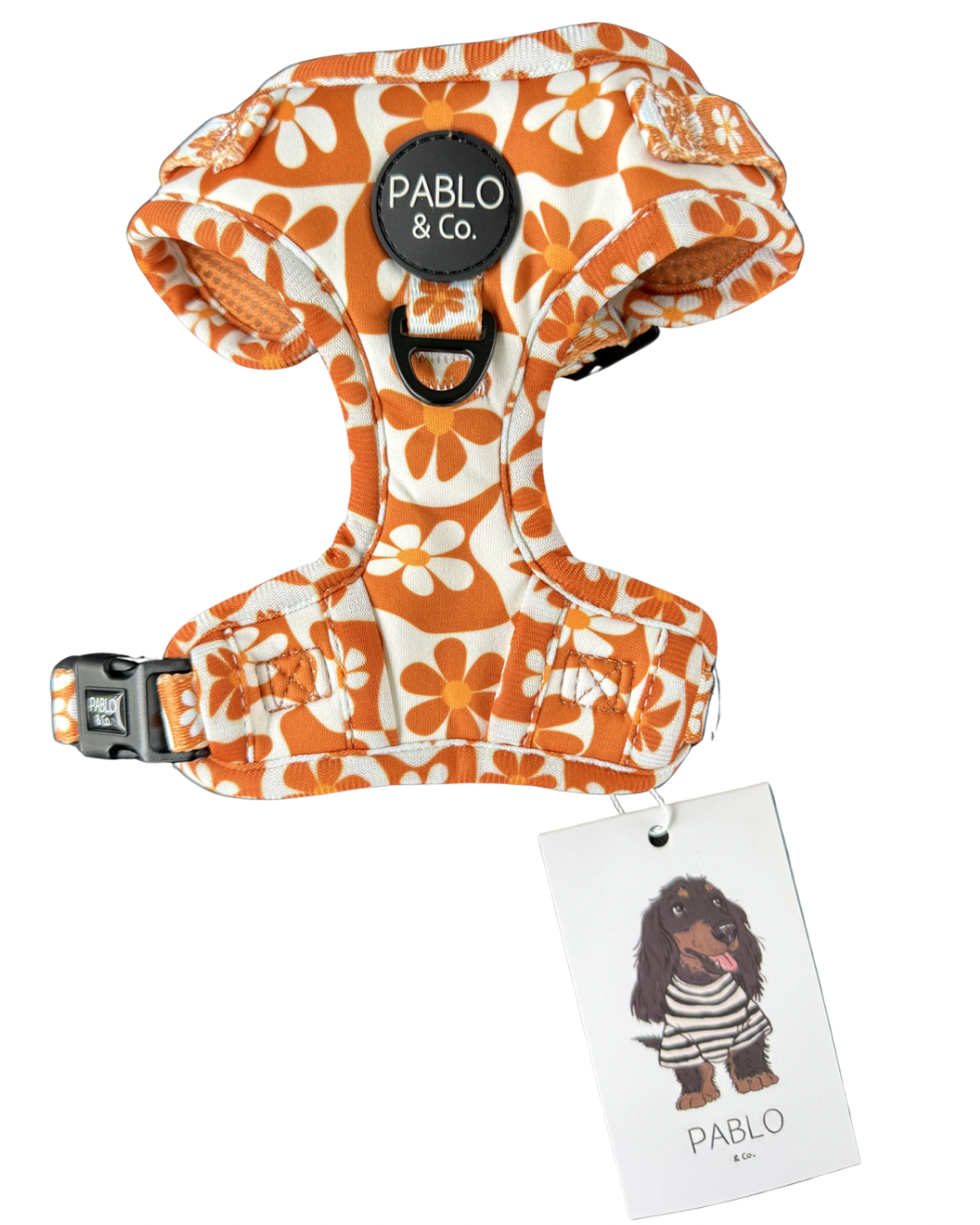 Pablo and co - retro Daisy