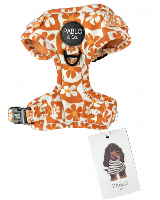 Pablo and co - retro Daisy