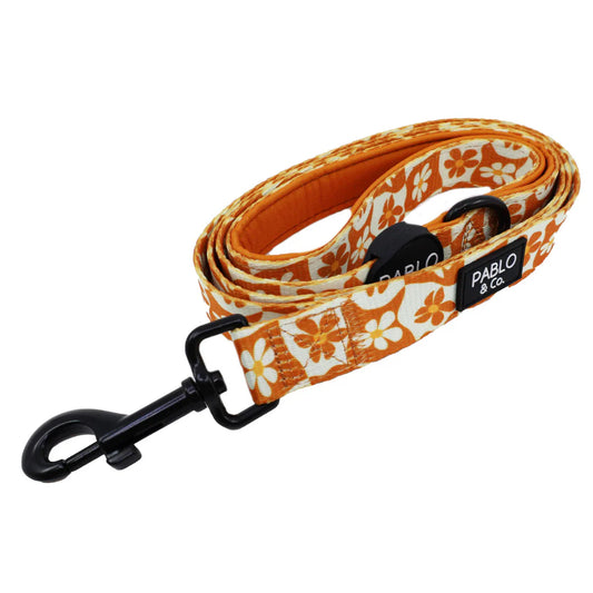 Pablo & co: Retro dog leash