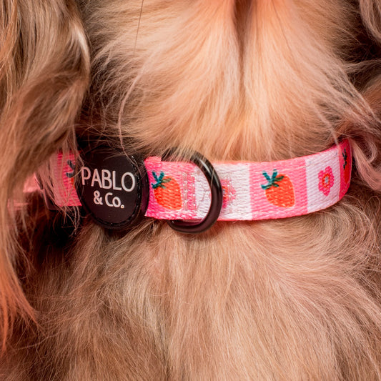 Pablo & co: Strawberry patch collar