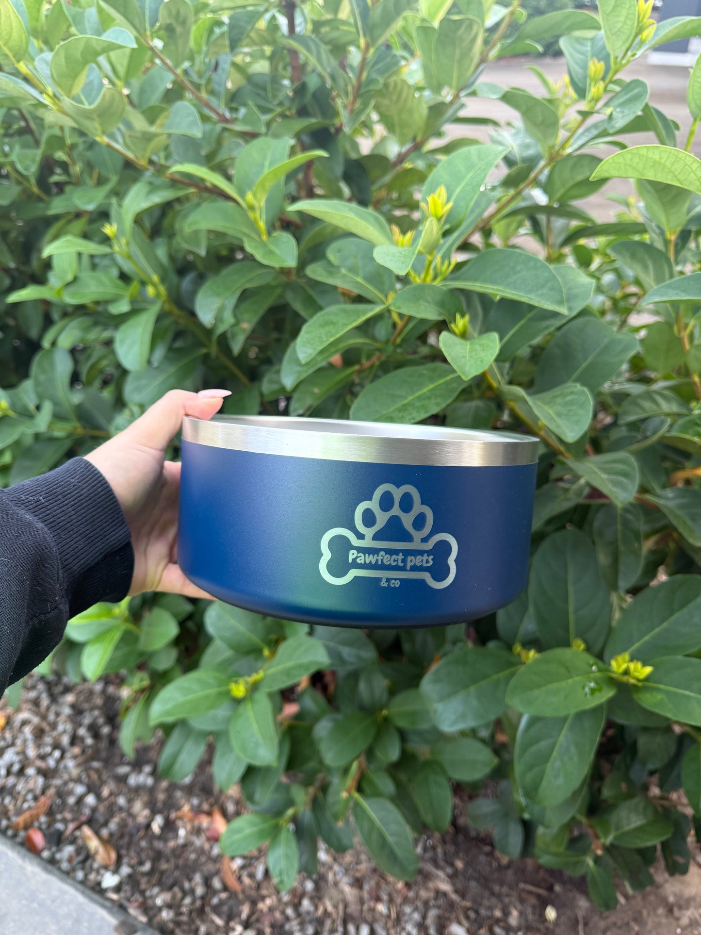 Insulated dog bowl - 2L