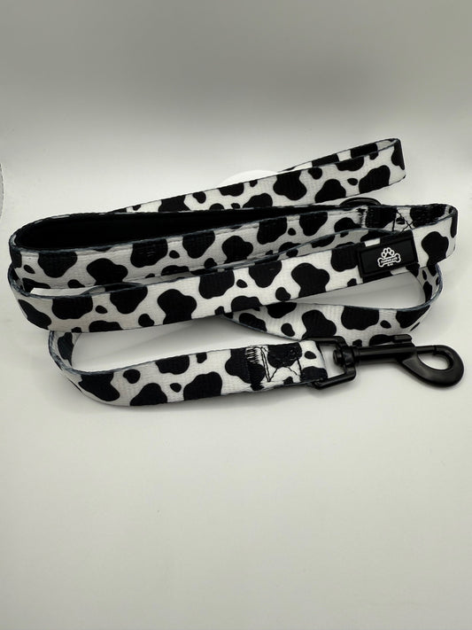 Cow print dog lead size Small