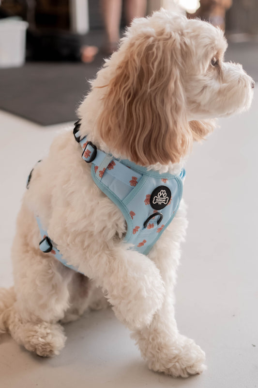 Beartastic Pawrunner Harness