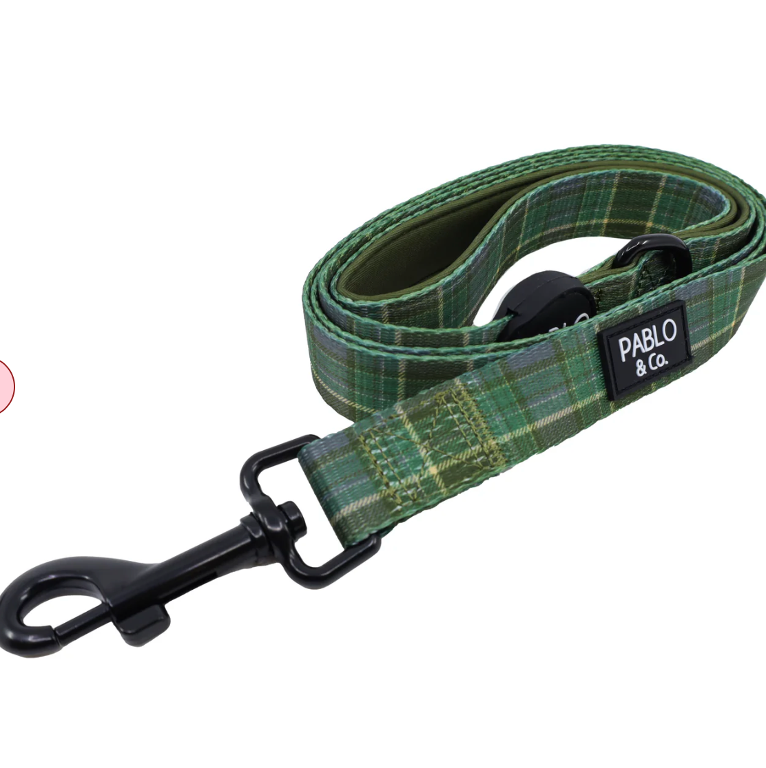 Pablo & Co - Green Plaid Leash