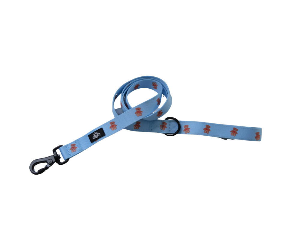 Beartastic every day leash