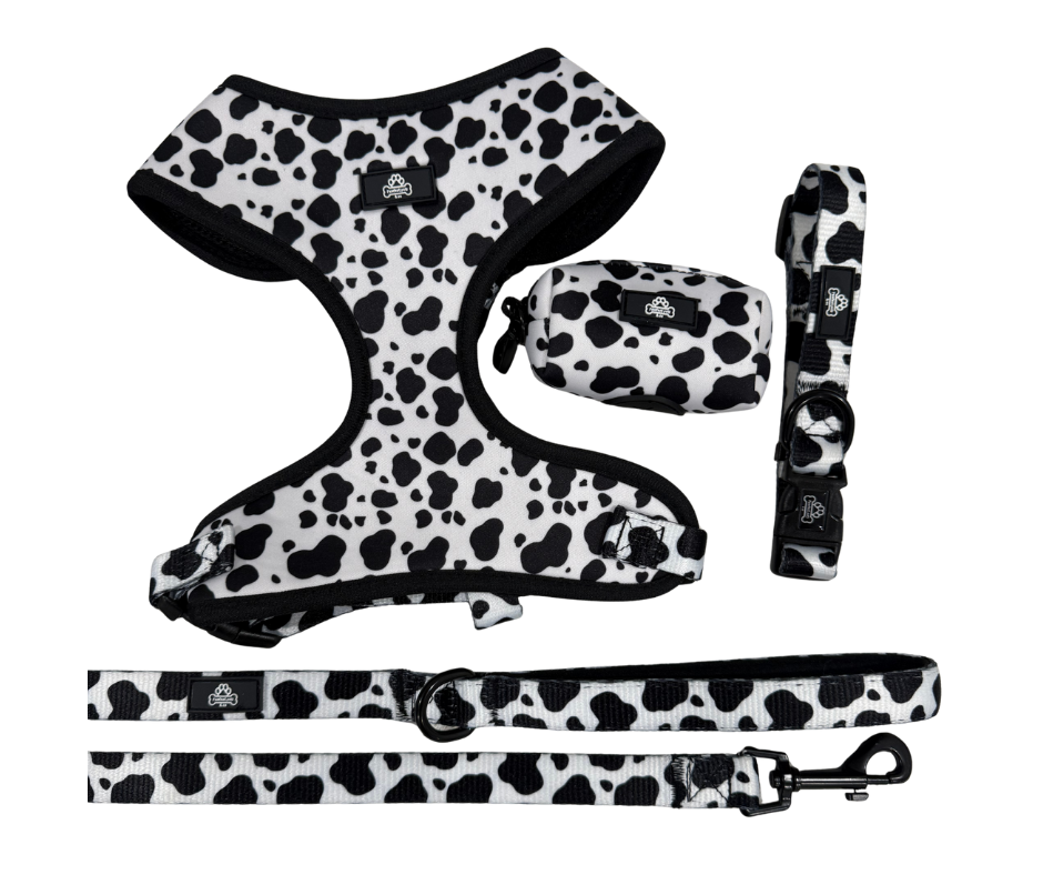 Complete cow print bundle - medium