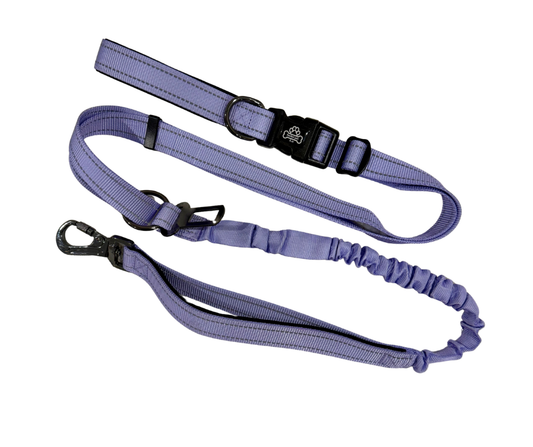 Lavender haze pawrunner bundle x2