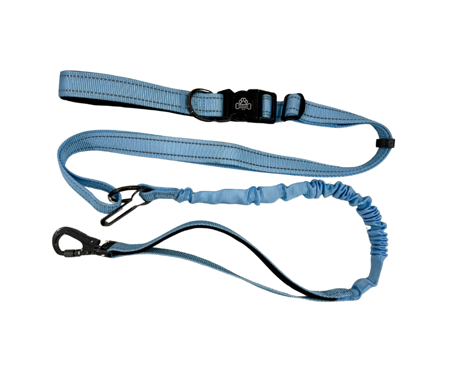 Blue skye pawrunner bundle x2