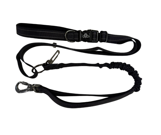 Midnight pawrunner bundle x2