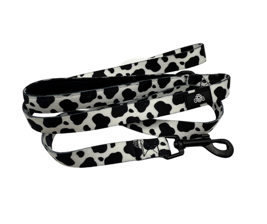 Cow print lead size Medium