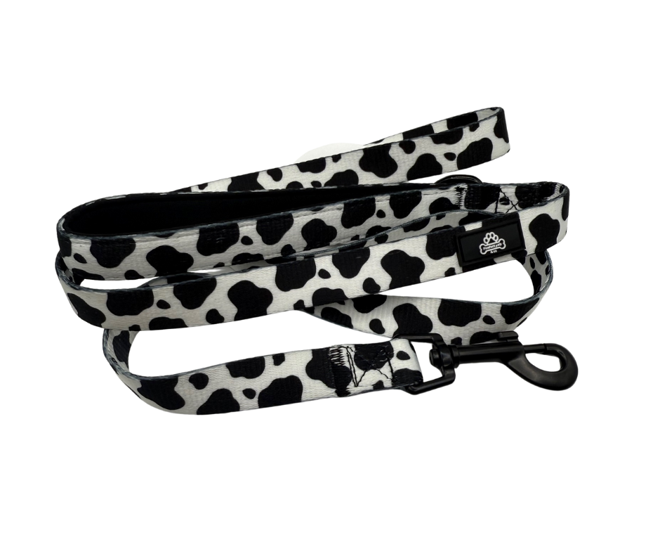 Cow print dog lead size Small