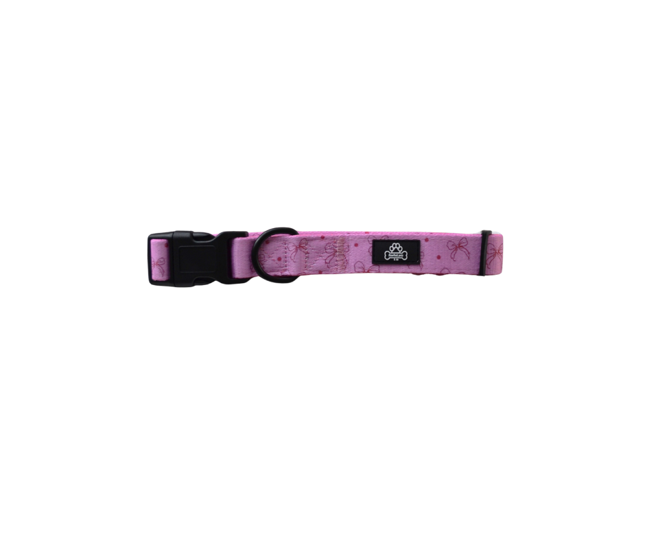 Bow-tiful Collar
