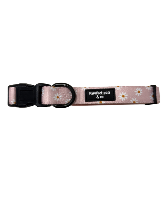 Daisy Collar
