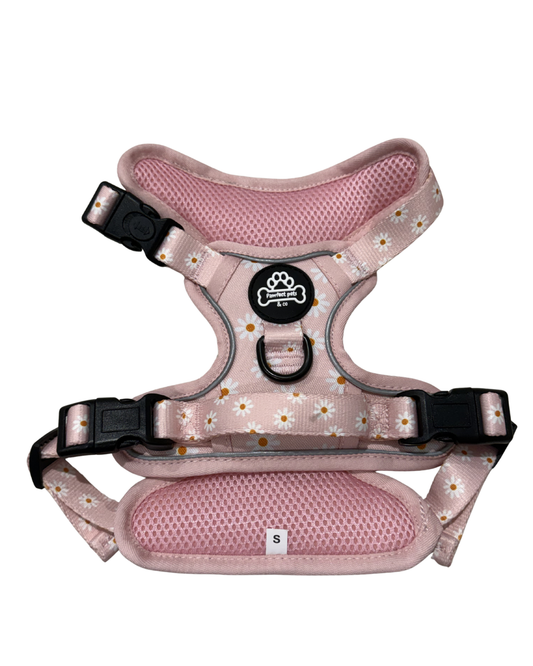 Daisy Pawrunner Harness
