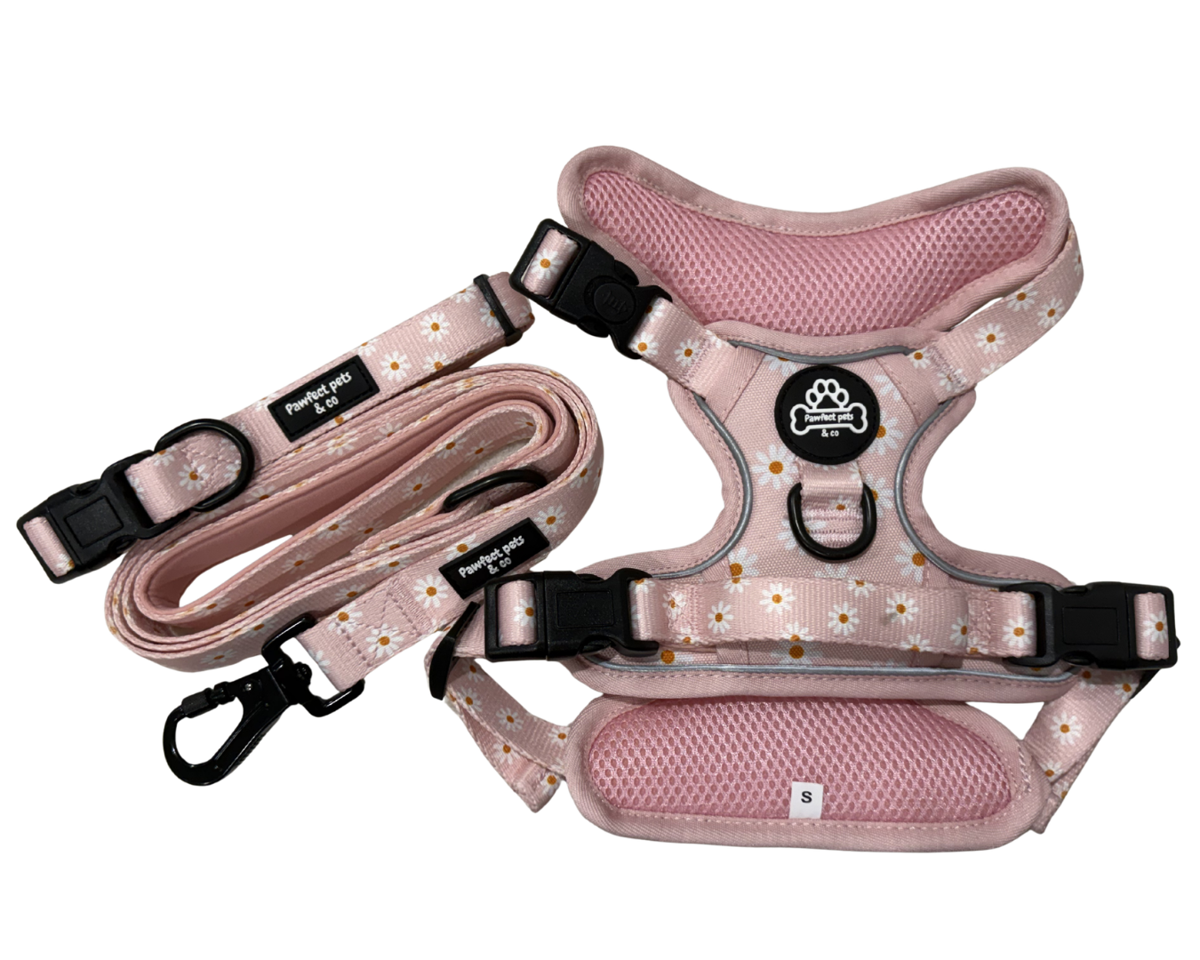 Daisy Bundle