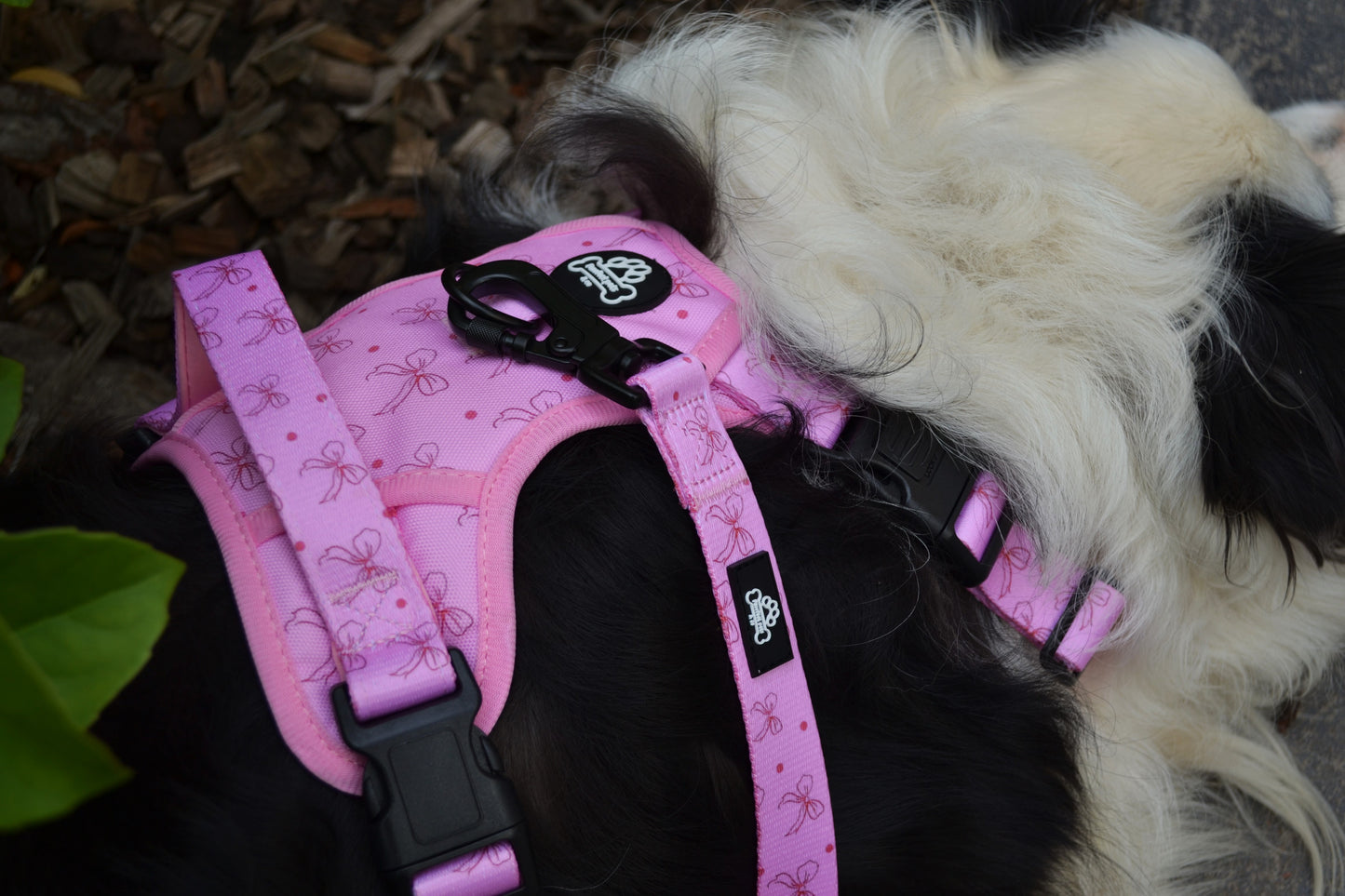Bow-tiful Pawrunner Harness