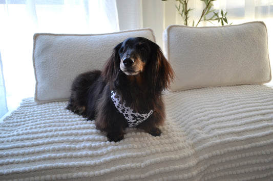 Complete Cow print bundle - Size small